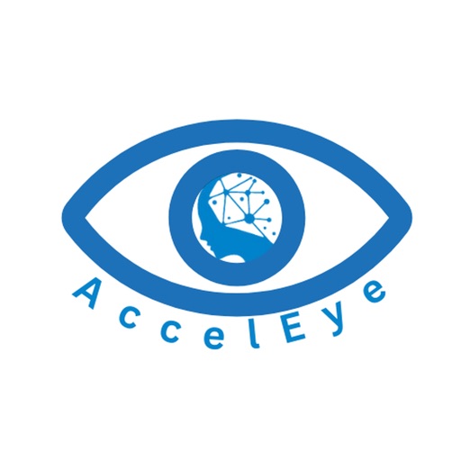 AccelEye User