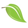 Aesthetics Medical Spa icon