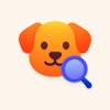 Pet Finder AI icon