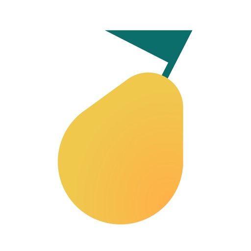 Pyrus · Team Communication