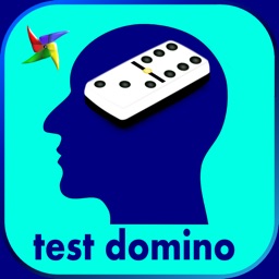 Test psychotechnique Domino