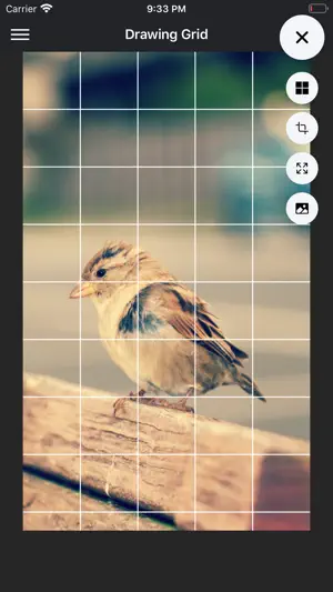 DrawinGrid screenshot 1