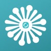 Mind Mapping-MindFlow,Diagram icon