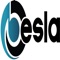 BESLA (Black Entertainment and Sports Lawyers Association, Inc