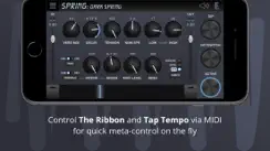 Spring Reverb iPhone image 3
