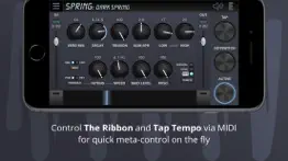 spring reverb iphone screenshot 3