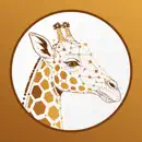 Giraph