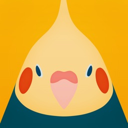 Bird Wallpaper - tori no iro