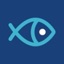 Get BIG FISH доставка еды for iOS, iPhone, iPad Aso Report