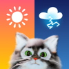 Weather & Live Radar - OpenPet - Fitsia Holdings Limited