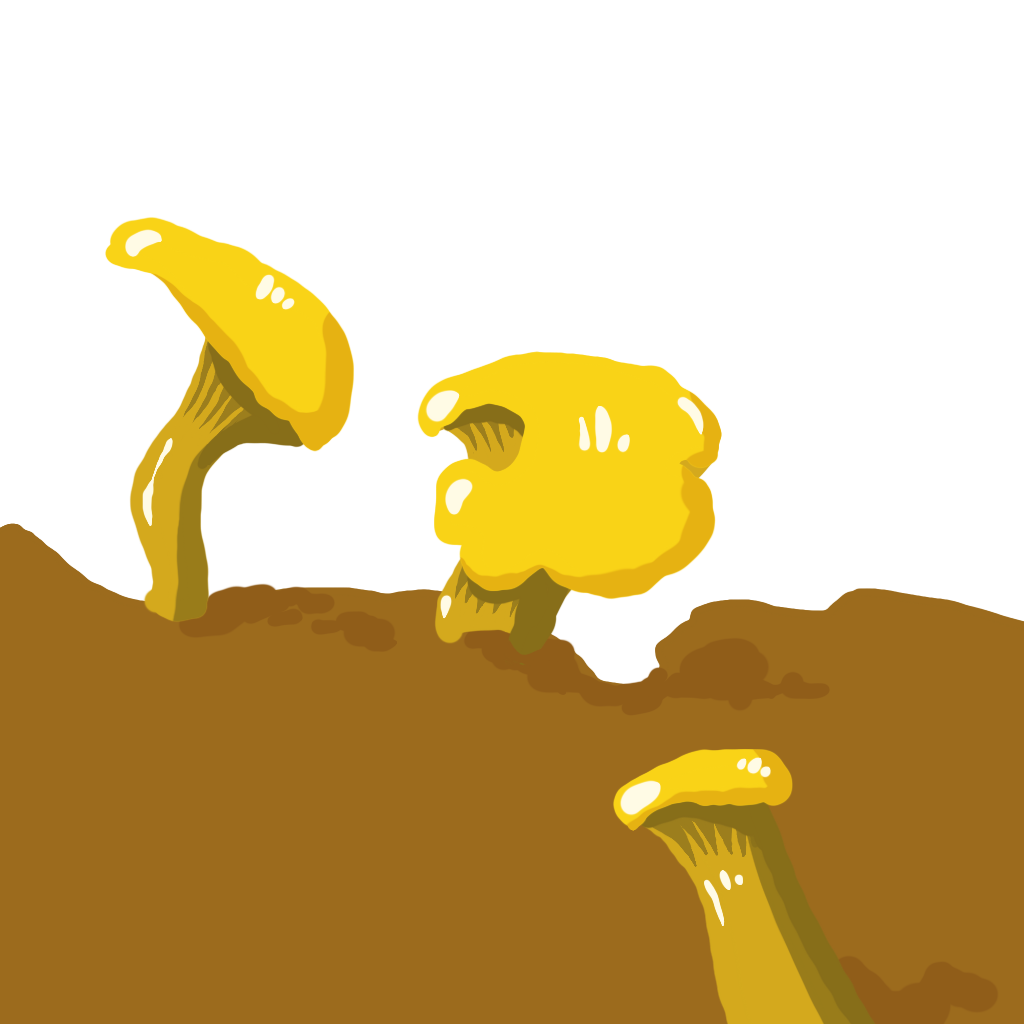 Get Meine Pilze for iOS, iPhone, iPad Aso Report