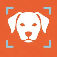 Dog Breed Identifier - Ai Scan