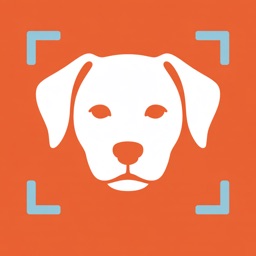 Dog Breed Identifier - Ai Scan
