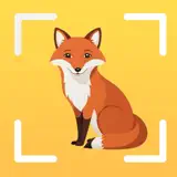 Animal Identifier - AI Scan - App Icon