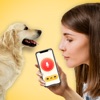犬語翻訳アプリ: 犬の翻訳者