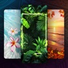 Nature Wallpapers 4K icon