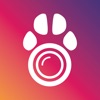PetCam App - Dog Camera App icon