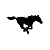 Ridgeview Mustangs icon