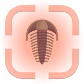 Fossil Identifier: FossilPRO