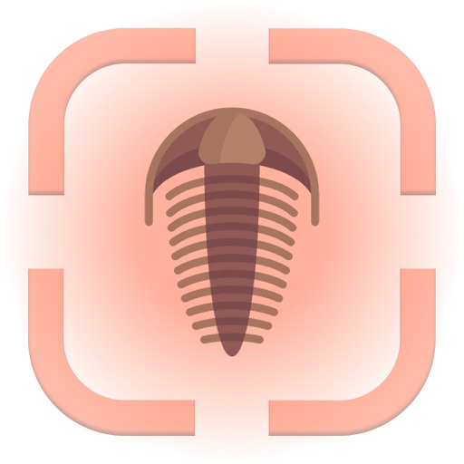 Fossil Identifier: FossilPRO