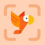Bird Identifier: Birdo