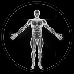 Coach Fitness et Muscle