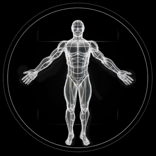 BodBot AI Personal Trainer