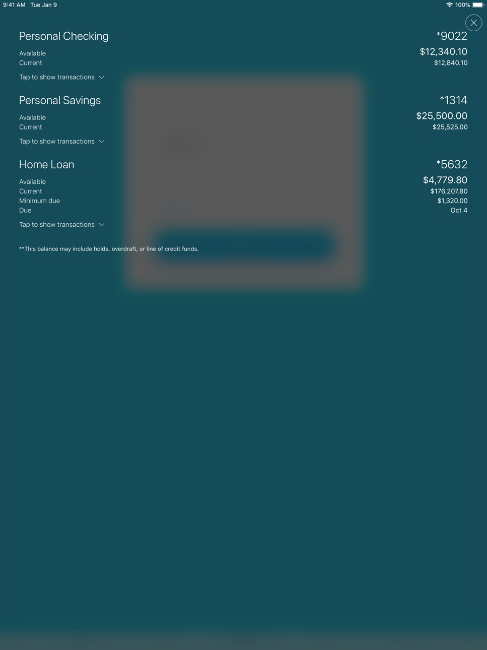 iPad screenshot