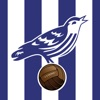 Boing Boing Baggies icon