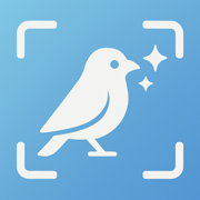 Bird Identifier: AI Scan