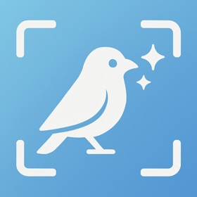 Bird Identifier: AI Scan
