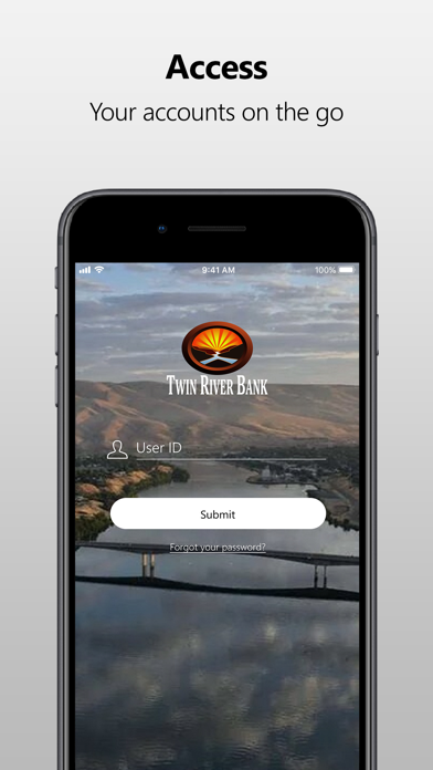 Twin River Bank Screenshot
