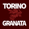 TorinoGranata.it icon