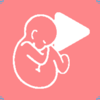 Aluvuu Fetus - GIRJAESOFT Co., Ltd.