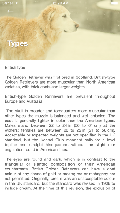 Golden Retriever: Breed Guide iPhone screenshot