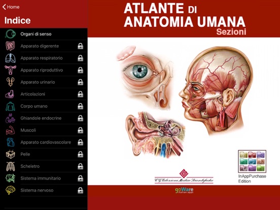 Screenshot #5 pour Atlante di Anatomia-Sezioni