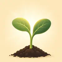 Rooted: Sobriety Garden