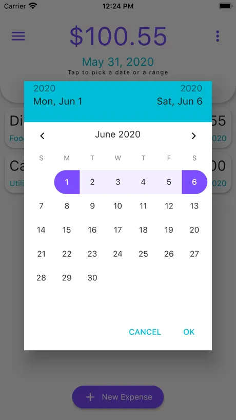 DSS Agile 8