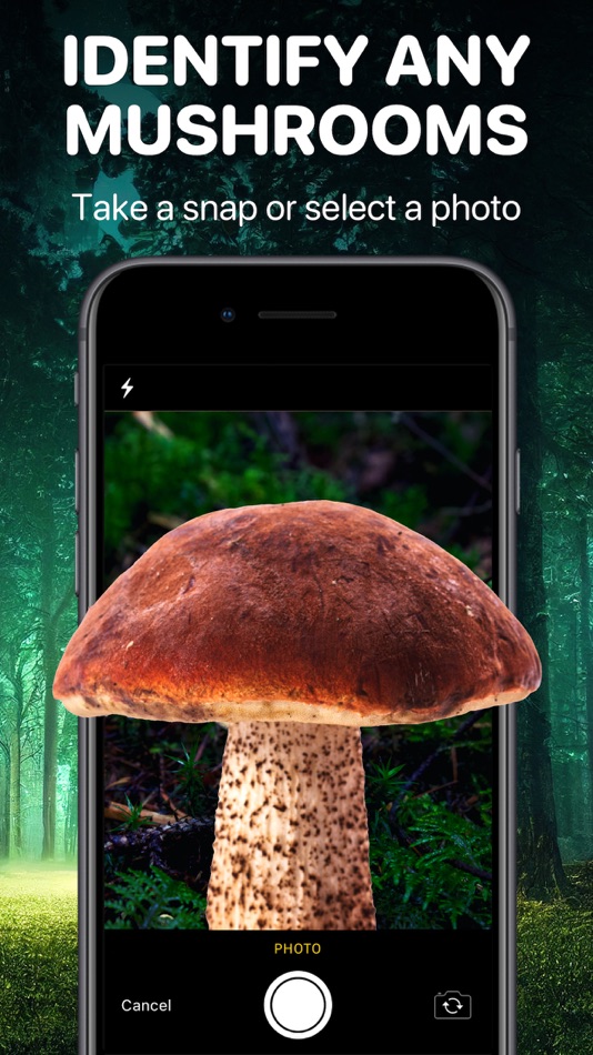 #1. Mushroom Identifier App: Fungi (iOS) بواسطة: Uladzislau Yanushka