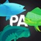 Fishing App - Pro Angler