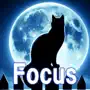 Cat Beats Focus