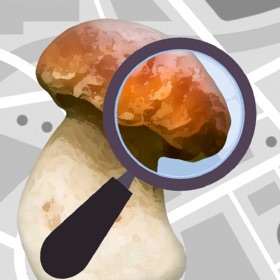 螢幕擷取畫面 (6) Mushroom Identificator