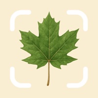 Tree Identifier by TreePic app icon - Education app for iPhone