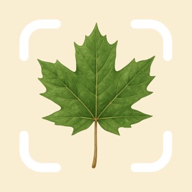 Tree Identifier by TreePic