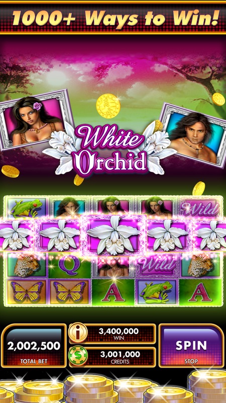 Slots DoubleDown Fort Knox screenshot 6