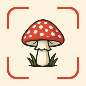 Mushroom Identifier AI Picture