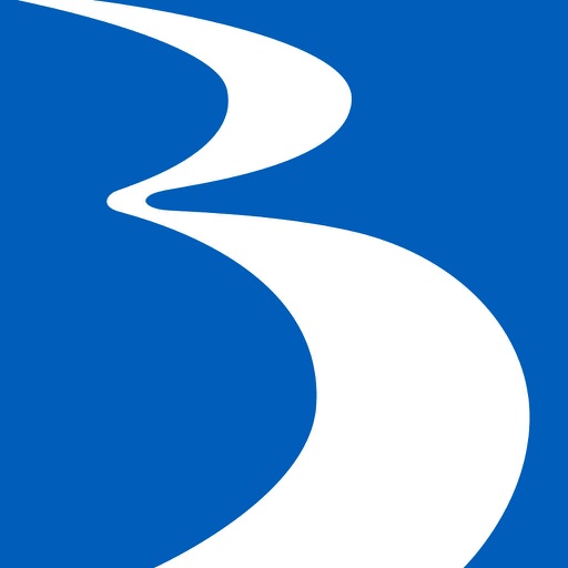 BraunAbility Remote Classic