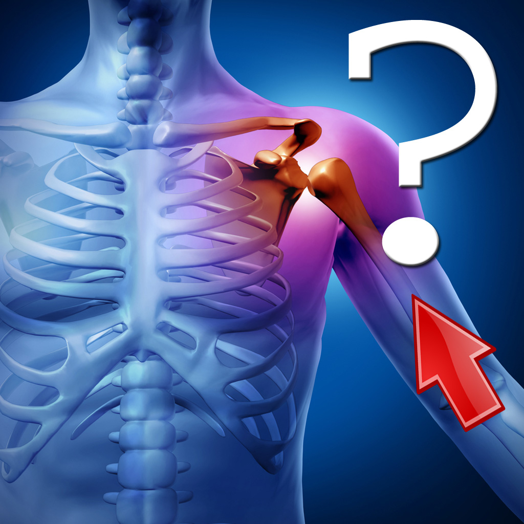 Get Anatomy Shoulder Quiz for iOS, iPhone, iPad Aso Report