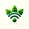 LetPlant: Grow Plants the Right Way and Purify Your Indoor Air