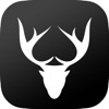 Casino Hunter - Casinos Online